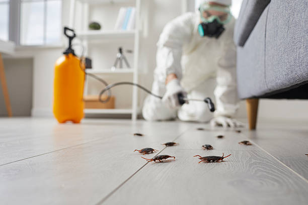 Commercial Kitchen Cockroach Control in Mason Neck